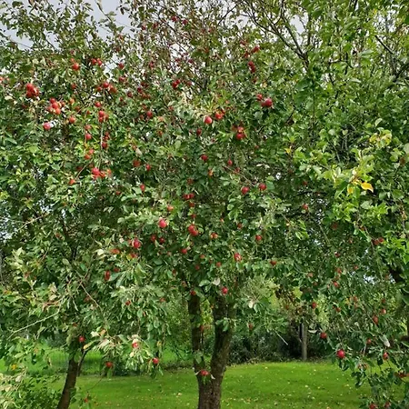 Ferienwohnung Appartement Neukirchen (Nordfriesland)